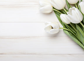 Platzset weiße Tulpen